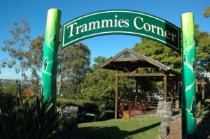 trammies-corner-paddington