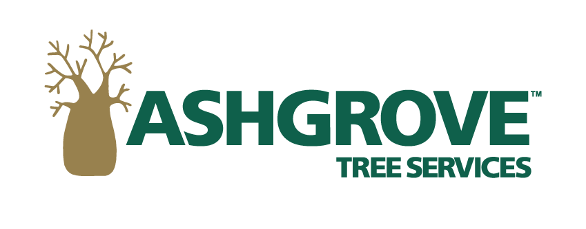 Ashgrove tree services logo